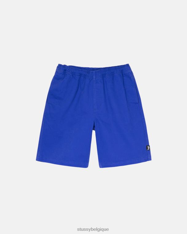 shorts short de plage brossé unisexe Royal STUSSY V46H284