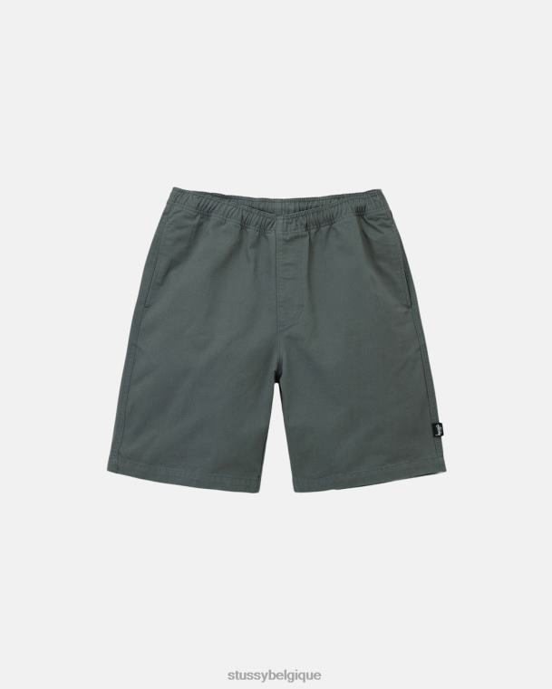 shorts short de plage brossé unisexe sage STUSSY V46H279
