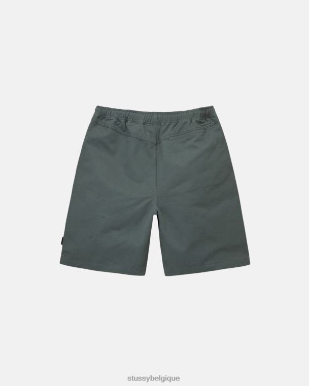 shorts short de plage brossé unisexe sage STUSSY V46H279