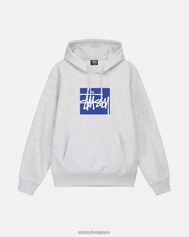 sueurs boîte de stock à capuche unisexe bruyère de cendre STUSSY V46H181