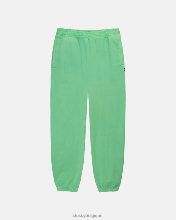 sueurs pantalon en molleton à teinture pigmentée unisexe vert STUSSY V46H236