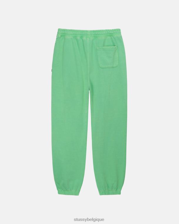 sueurs pantalon en molleton à teinture pigmentée unisexe vert STUSSY V46H236