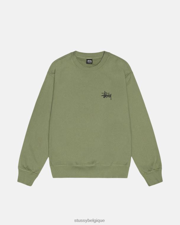 sueurs équipage de base teint au pigment unisexe artichaut STUSSY V46H186