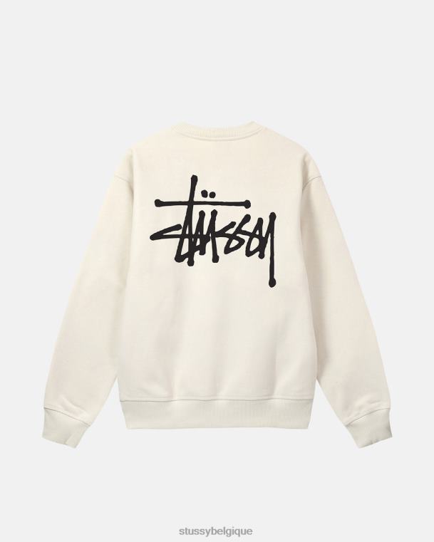 sueurs équipage de base unisexe calcul STUSSY V46H194