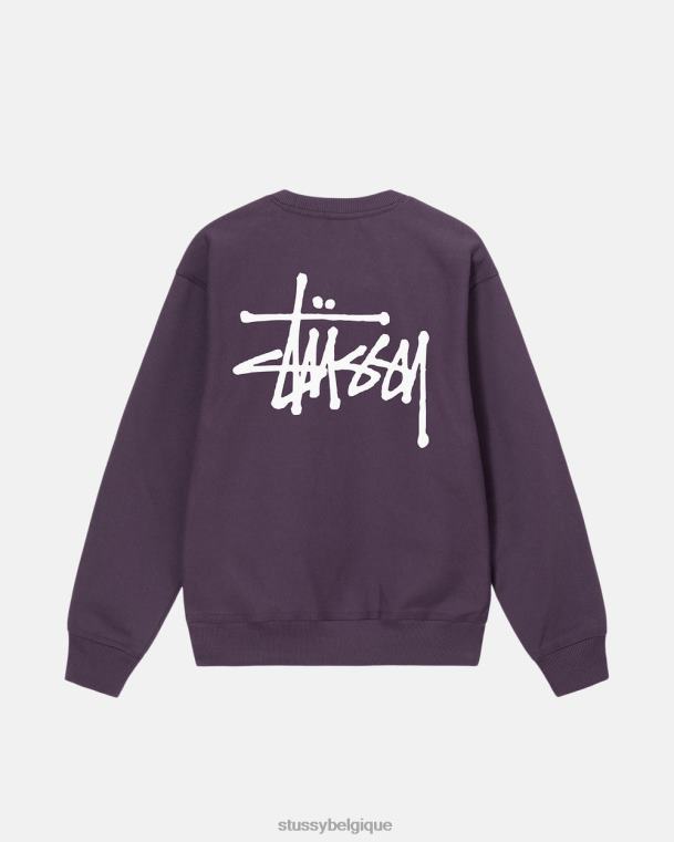 sueurs équipage de base unisexe raisin STUSSY V46H195