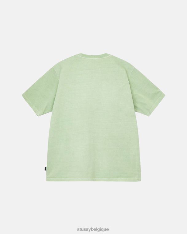 tees équipage teint en pigment épais unisexe vert STUSSY V46H72