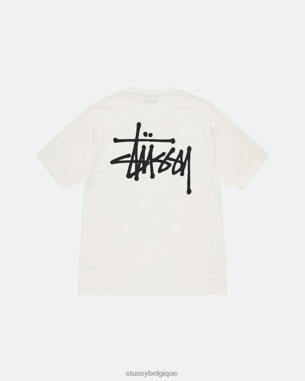 tees t-shirt basique teint par pigments unisexe naturel STUSSY V46H31