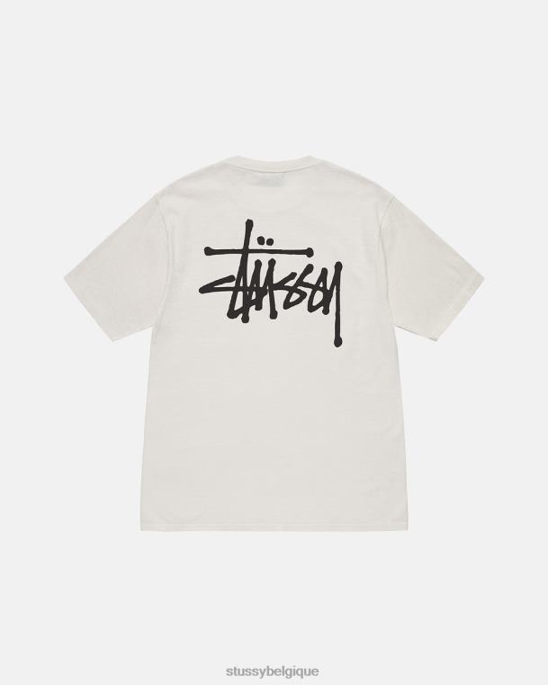 tees t-shirt basique teint par pigments unisexe naturel STUSSY V46H498