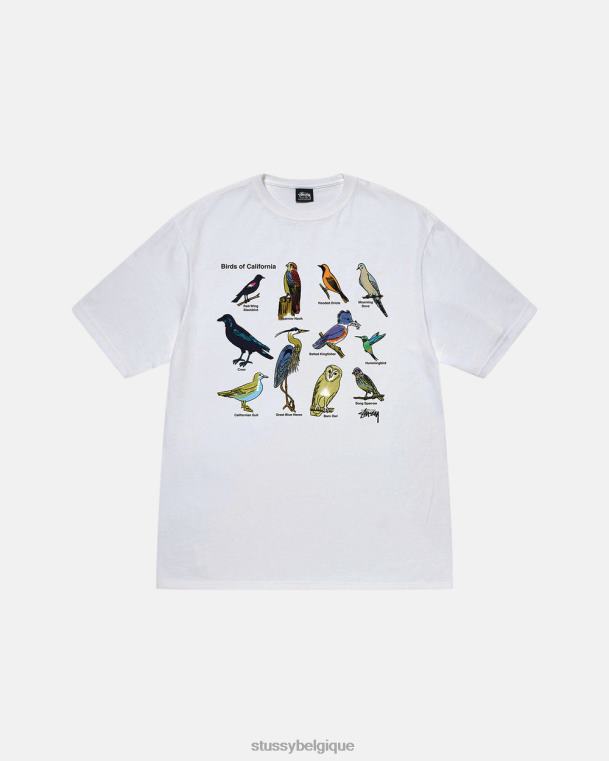 tees t-shirt oiseaux de californie unisexe blanc STUSSY V46H14