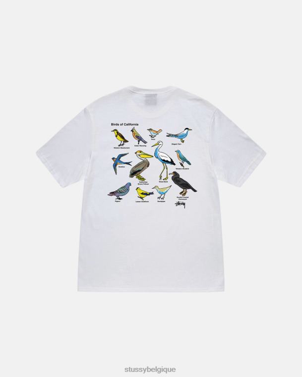 tees t-shirt oiseaux de californie unisexe blanc STUSSY V46H14