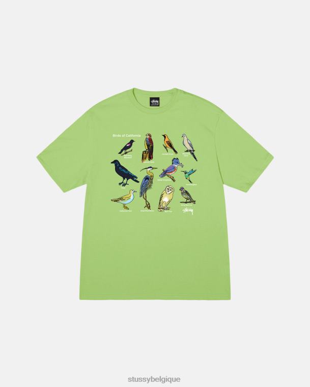 tees t-shirt oiseaux de californie unisexe thé STUSSY V46H15