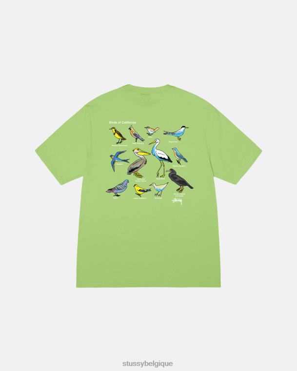 tees t-shirt oiseaux de californie unisexe thé STUSSY V46H15