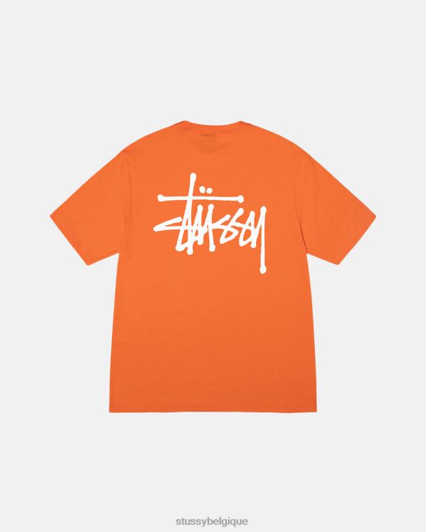tees tee de base unisexe corail STUSSY V46H4