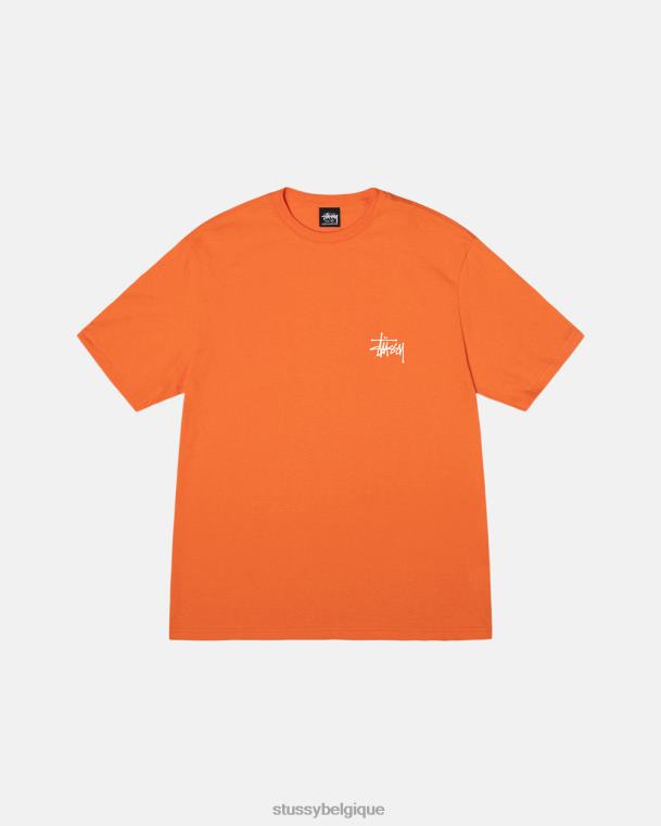 tees tee de base unisexe corail STUSSY V46H4