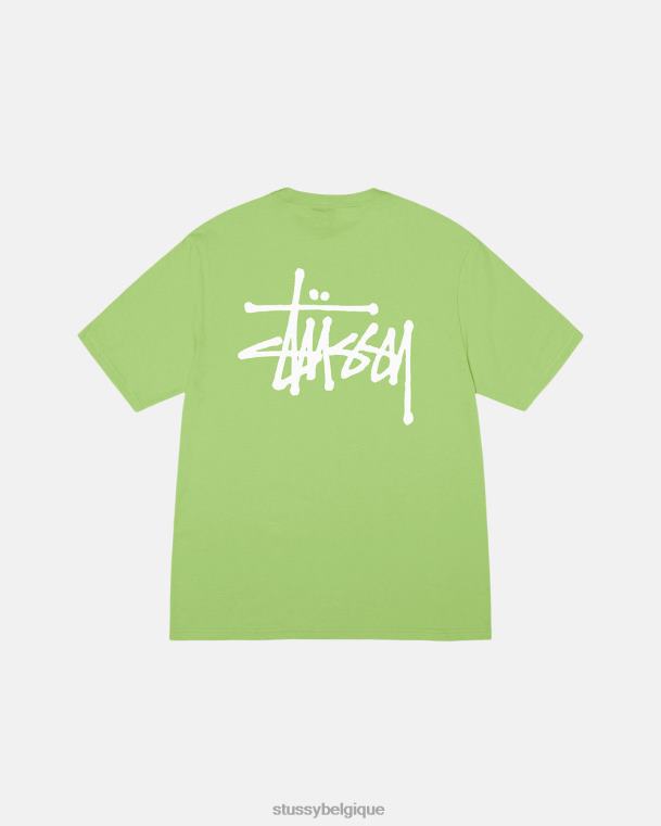 tees tee de base unisexe thé STUSSY V46H5