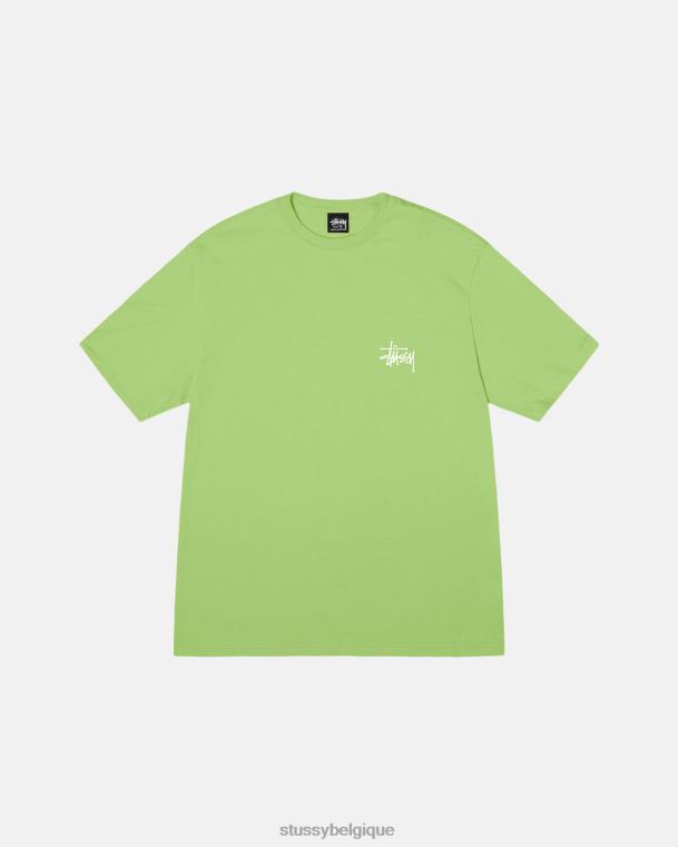 tees tee de base unisexe thé STUSSY V46H5
